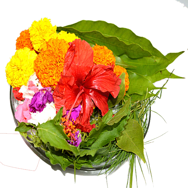 ପୂଜା ଫୁଲ (Puja Flower)